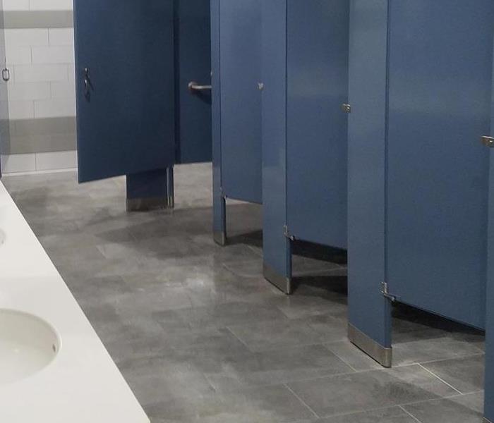 Commercial Bathroom Cleaning 