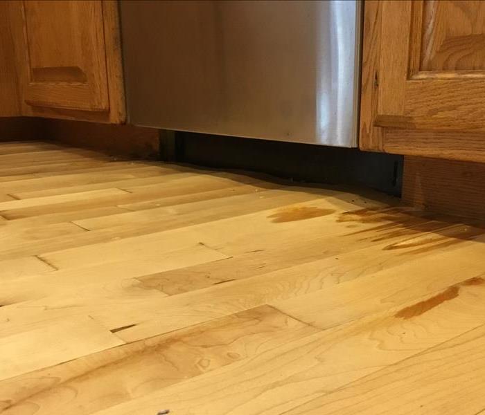 Dishwasher Leak onto Real Wood Flooring