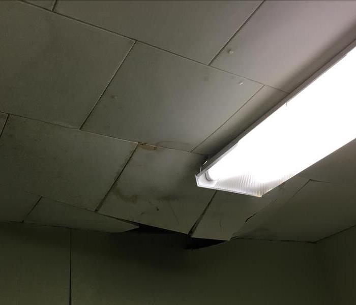 Water from above is absorbing into ceiling tiles
